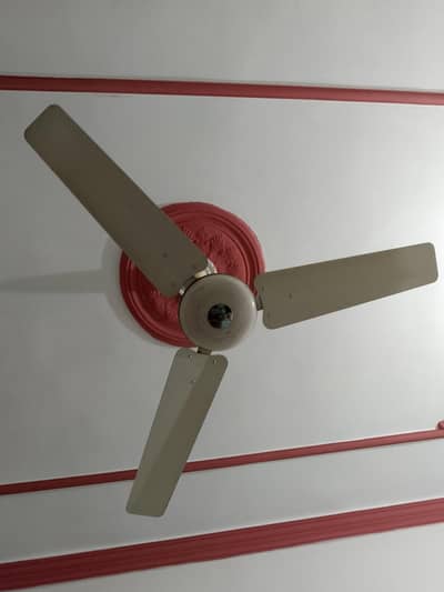 Ceiling Fan