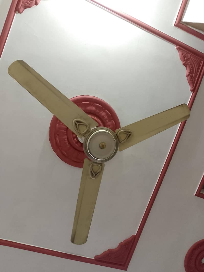 Ceiling Fan 1