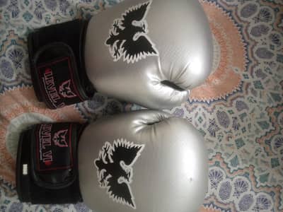 brand new boxing gloves 2 pairs