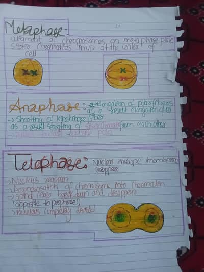 Assignment writing