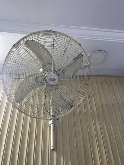 Height fans