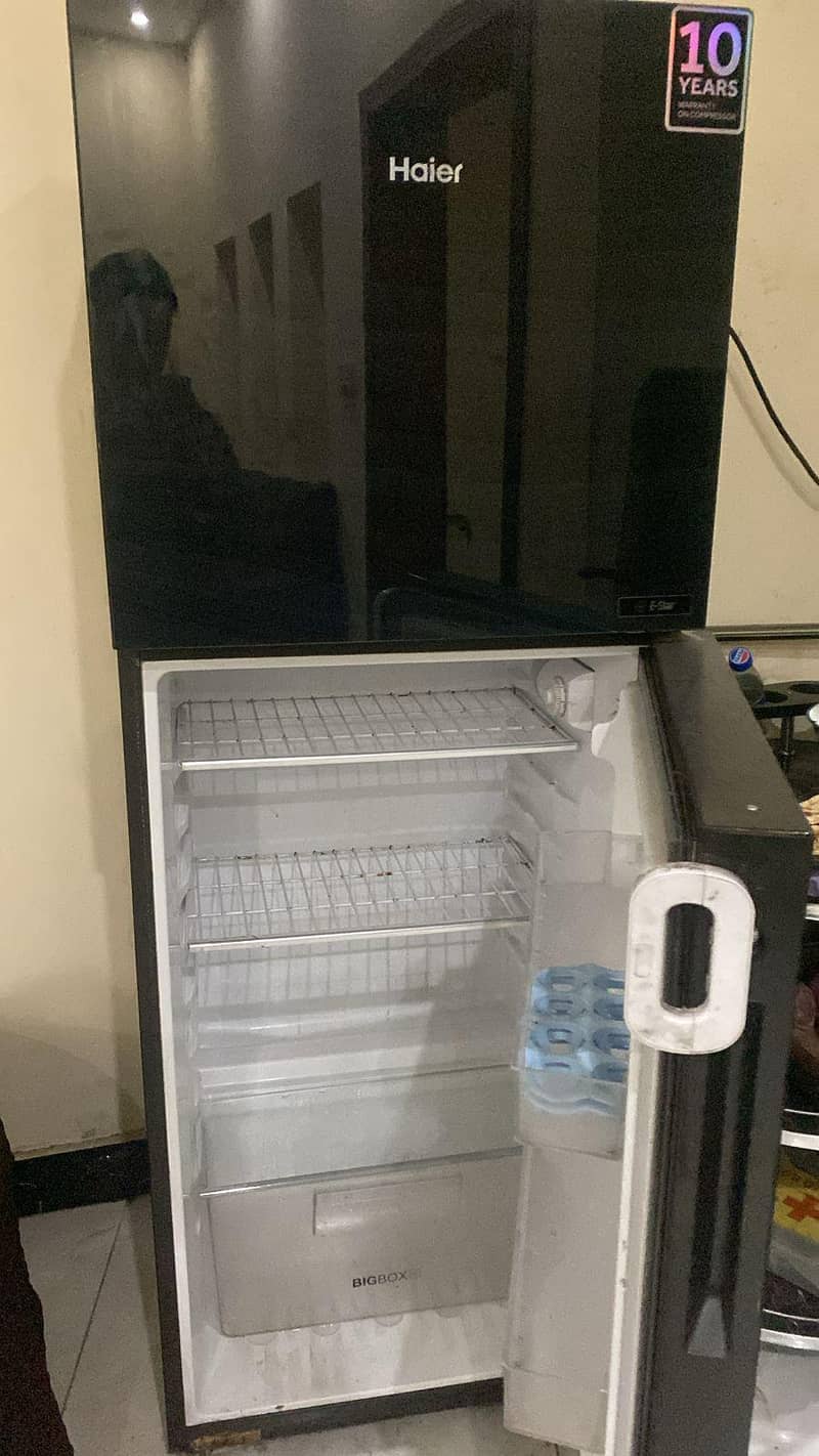 fridge 6