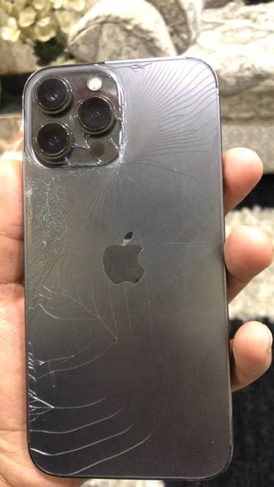 Apple iPhone 13 Pro Max