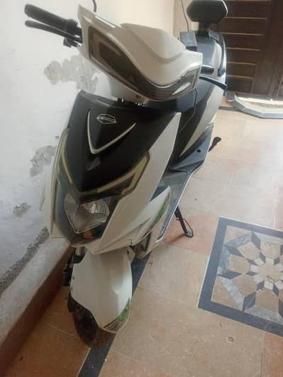scoty for sale