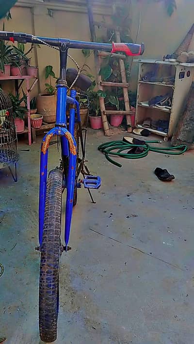 wheeler cycle