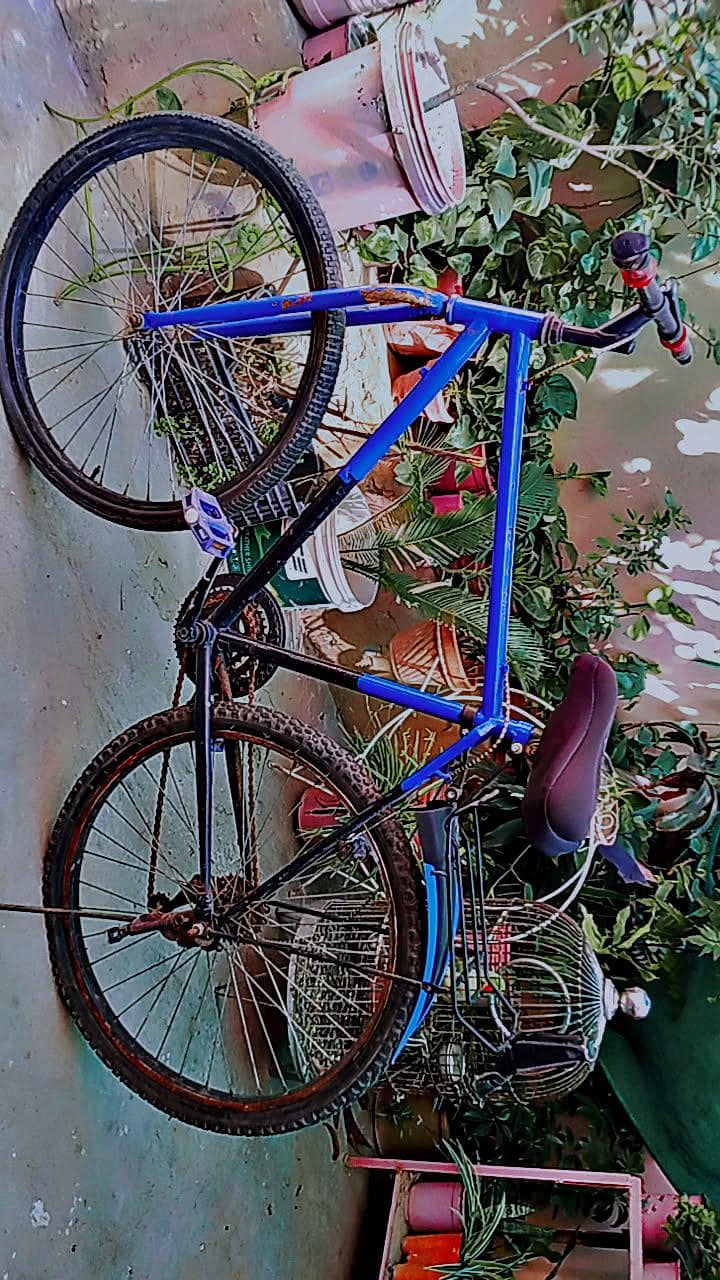 wheeler cycle 03335222829 4
