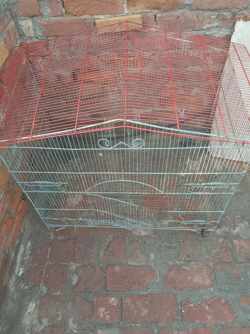 cage sale — photo 4
