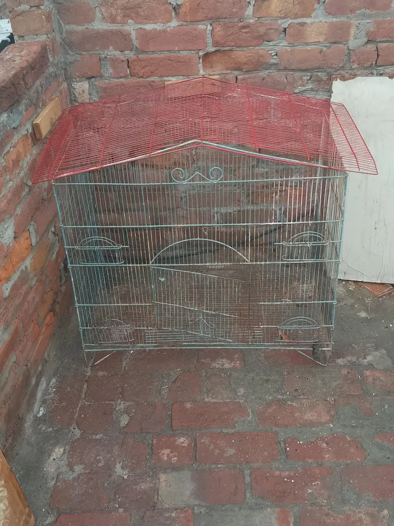 cage sale — photo 2