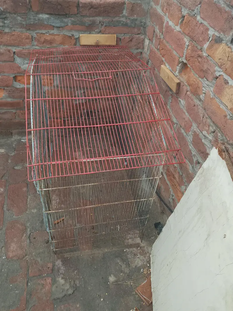 cage sale — photo 3