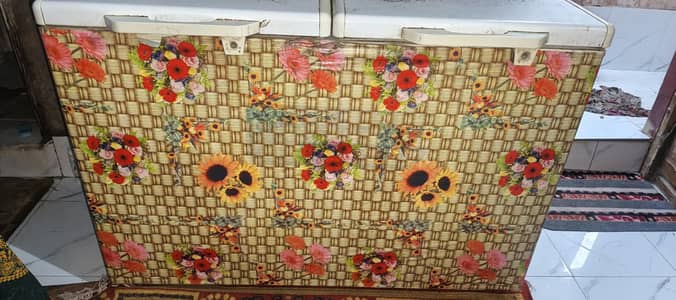 PEL deep freezer good condition