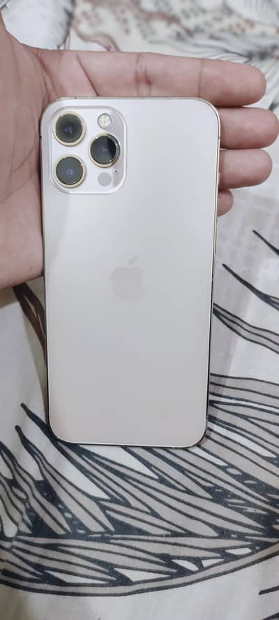 Apple iPhone 12 Pro Max