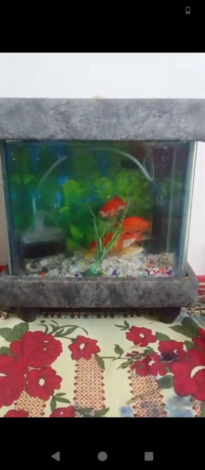 Fish Aquarium up for sale brand new