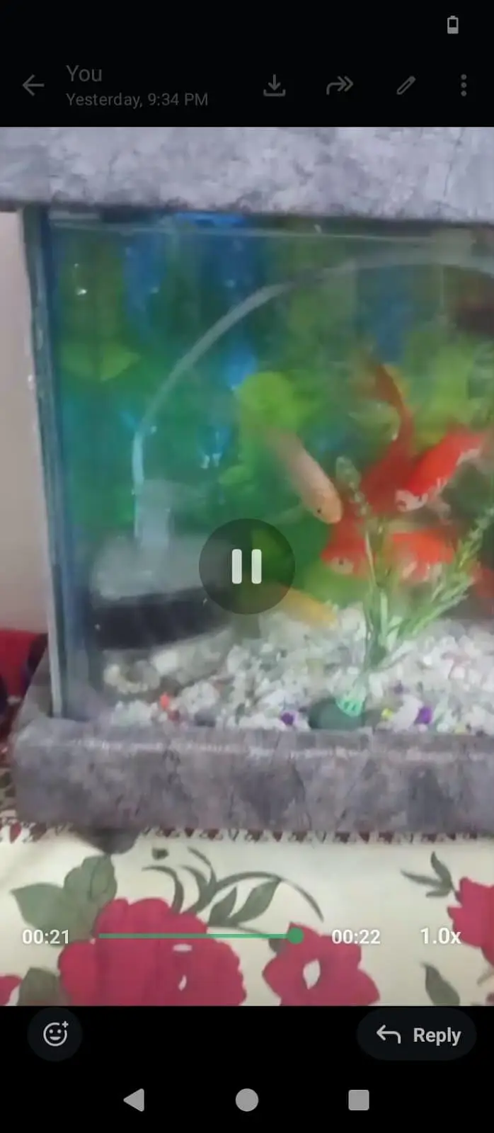 Fish Aquarium up for sale brand new — photo 4