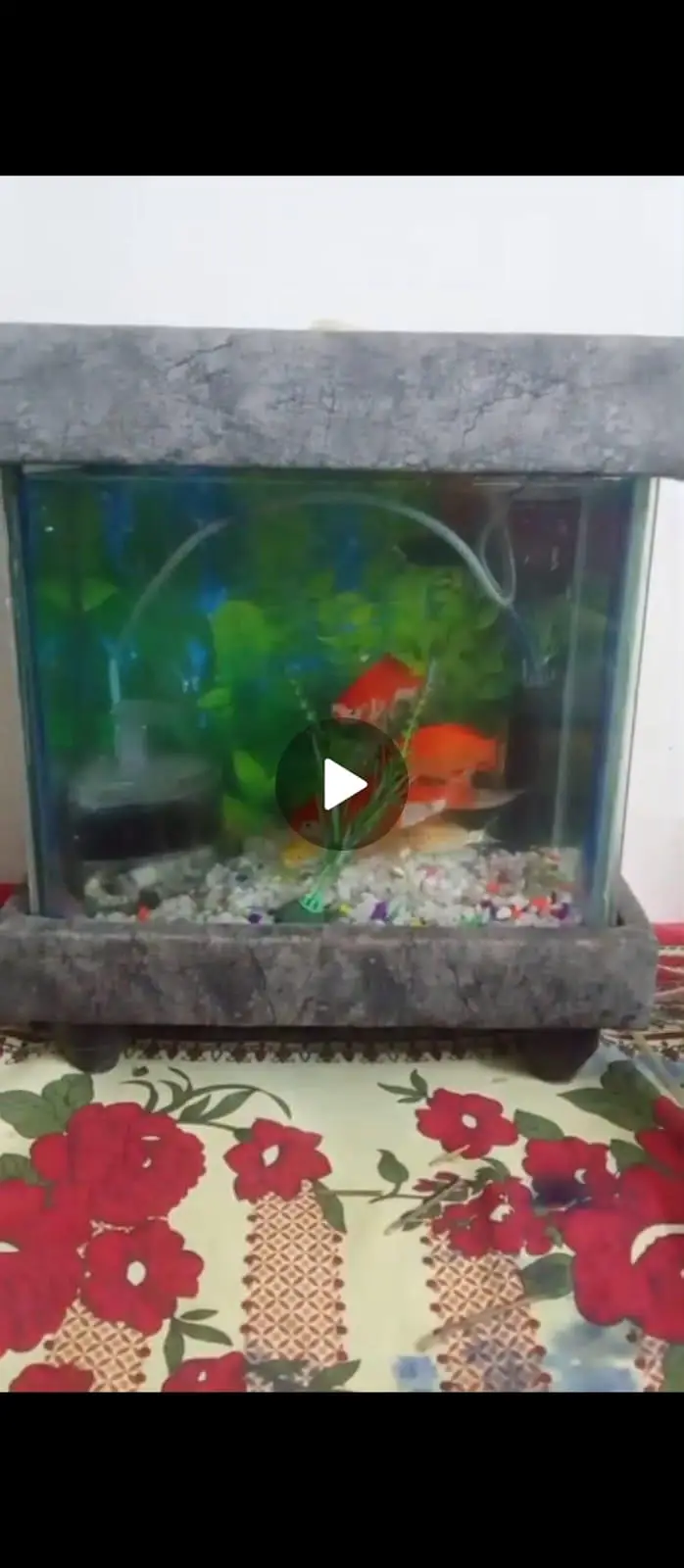 Fish Aquarium up for sale brand new — photo 5