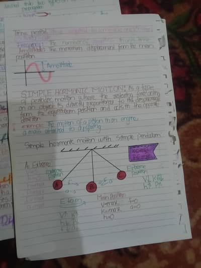 Assignment writing