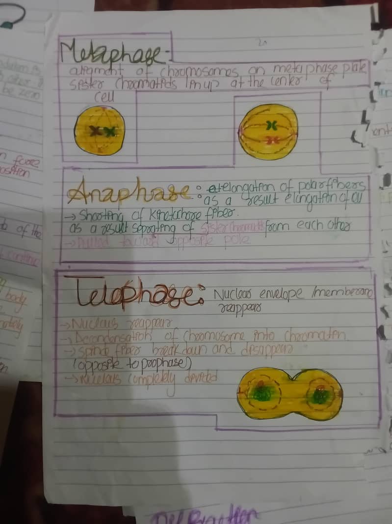Assignment writing 1