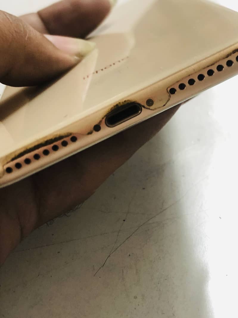 Apple iPhone 8 Plus 1