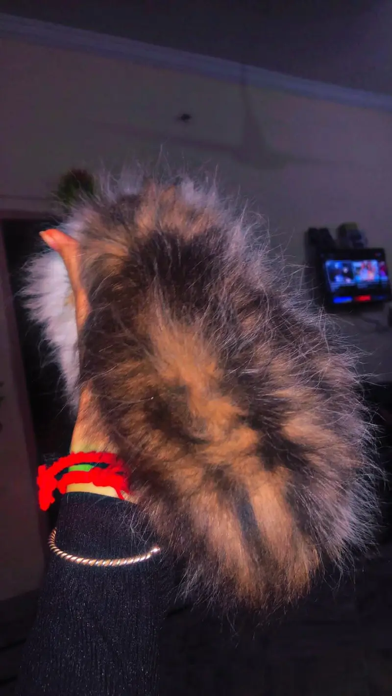 Selling persion Kittens — photo 2