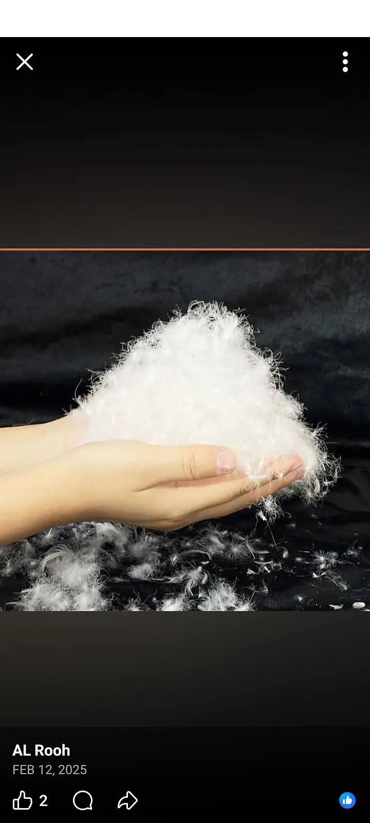 feather 8 kg . . . price. . 1 kg fee 6000