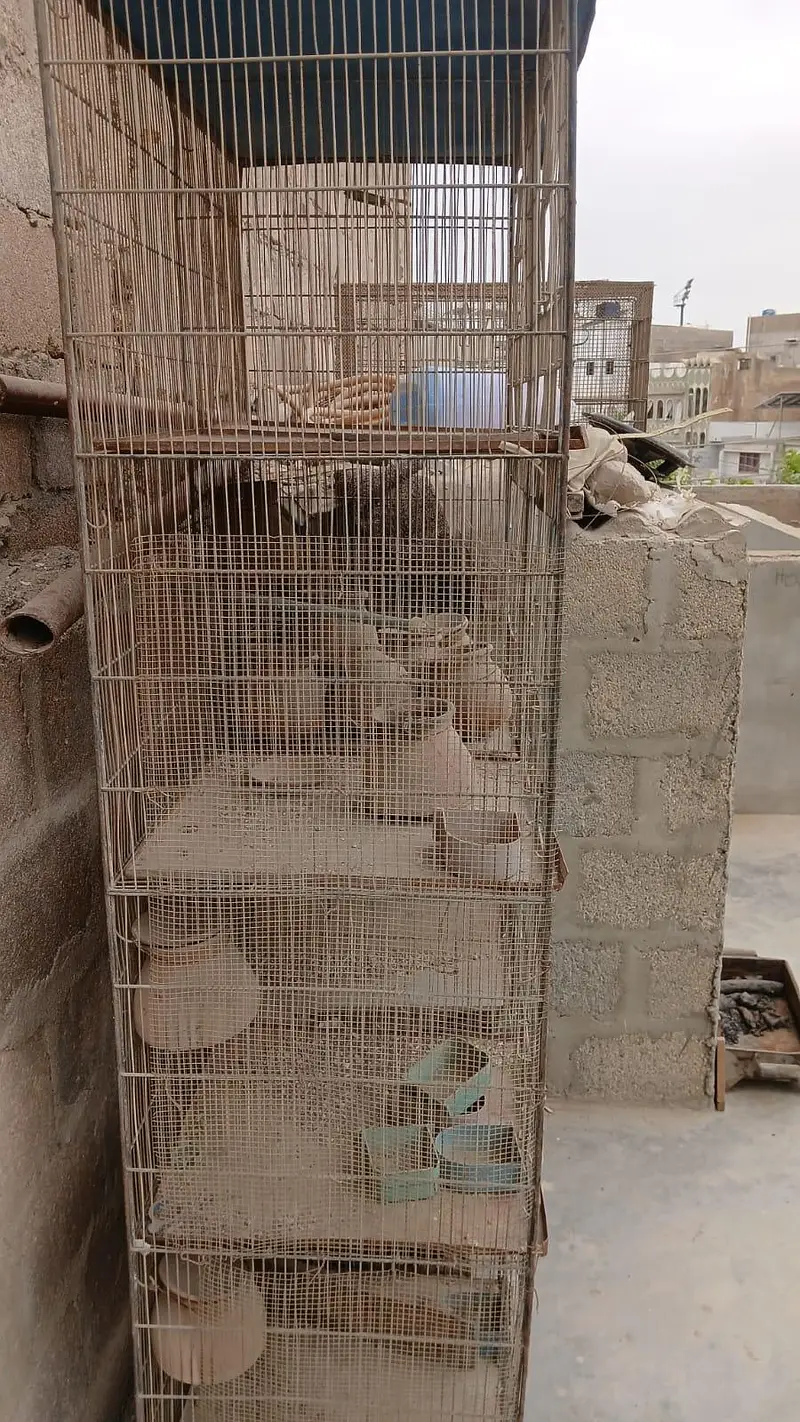 iron cage 02 quantity available in malir liyaqat market — photo 2