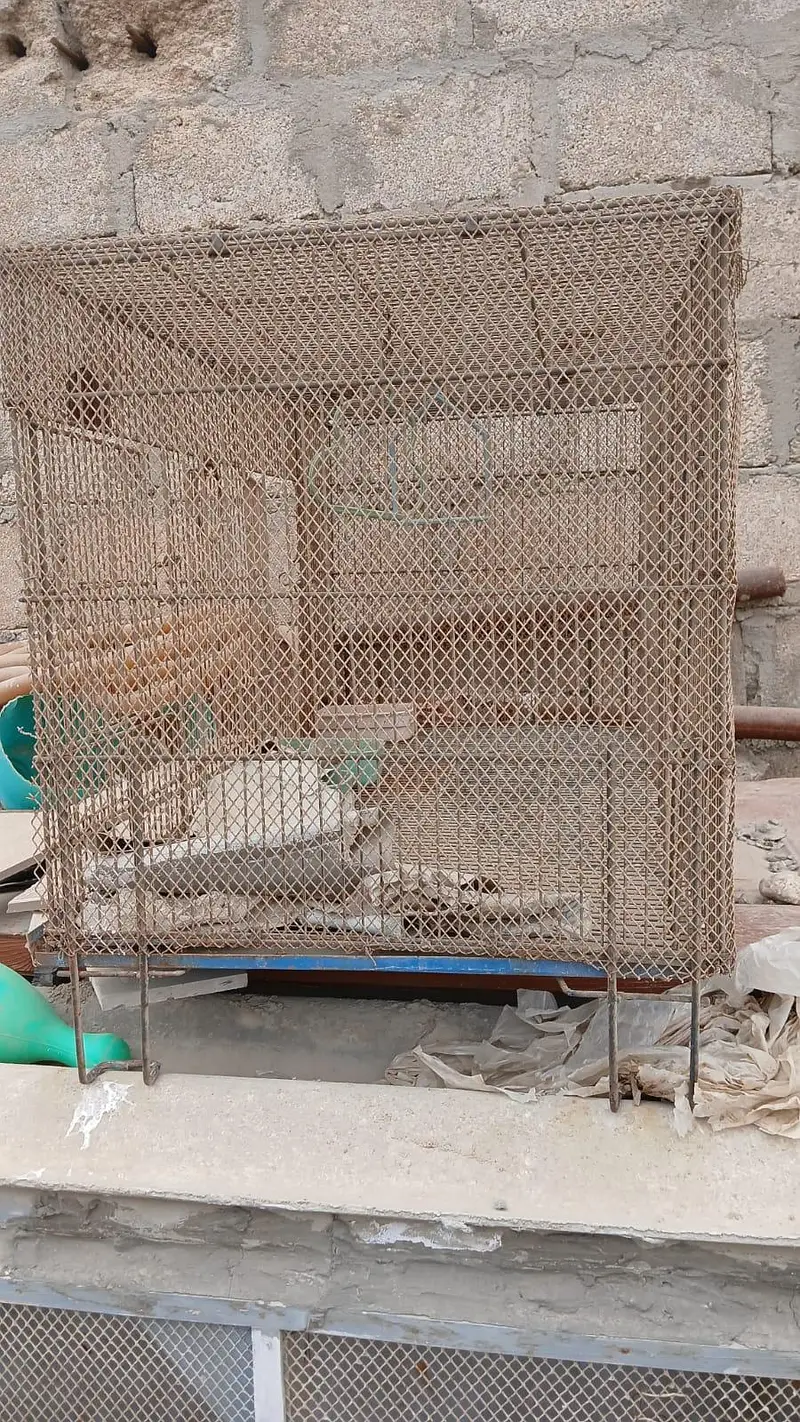 iron cage 02 quantity available in malir liyaqat market — photo 3