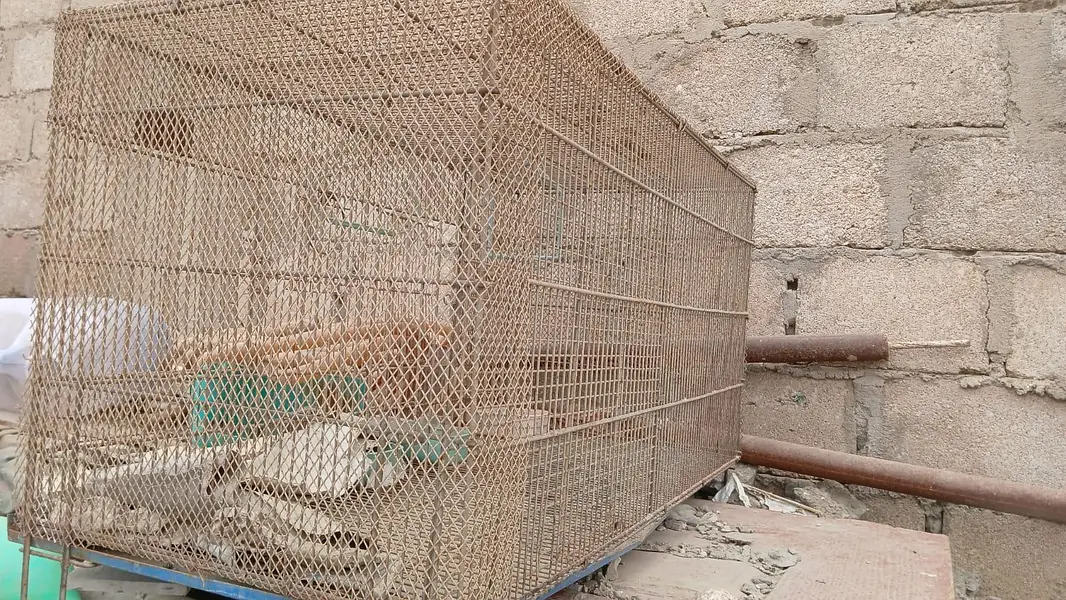 iron cage 02 quantity available in malir liyaqat market — photo 4