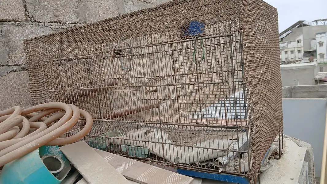 iron cage 02 quantity available in malir liyaqat market — photo 5