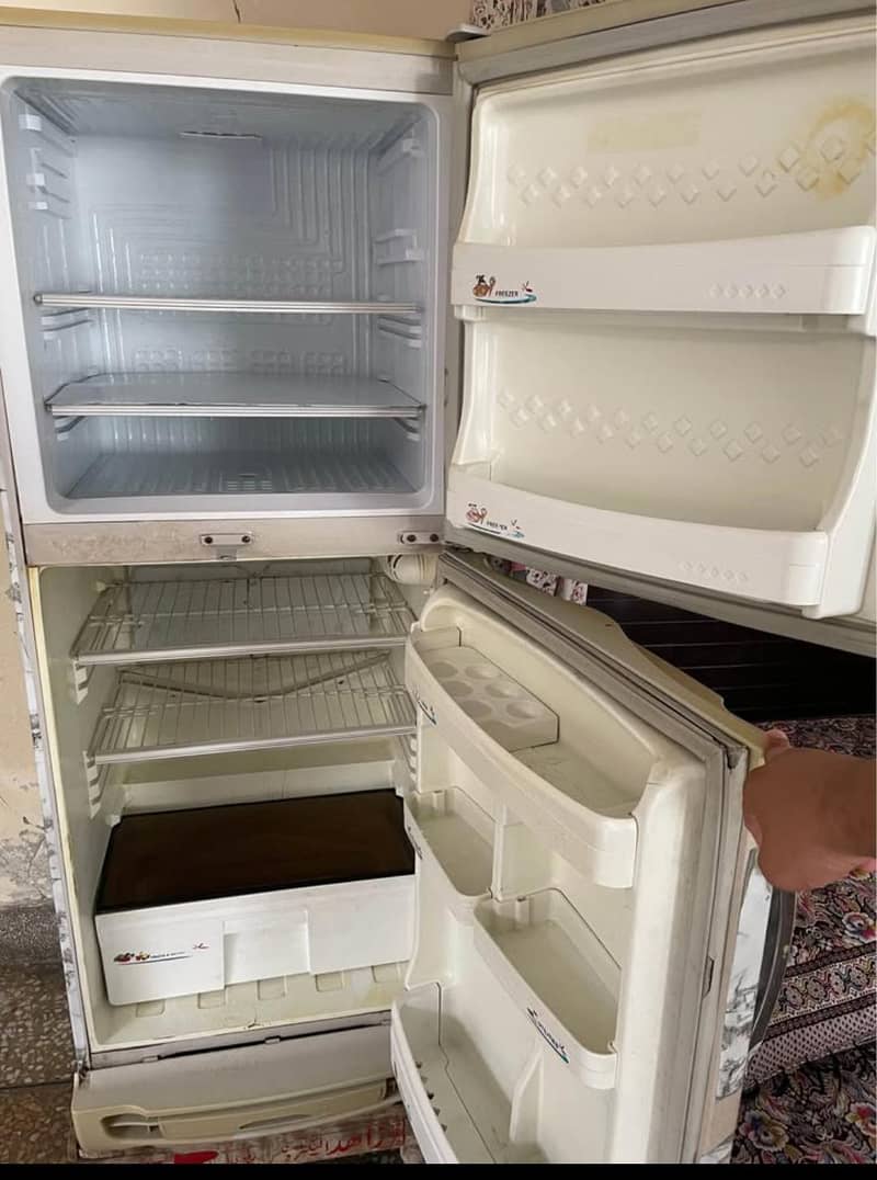 pel fridge 2