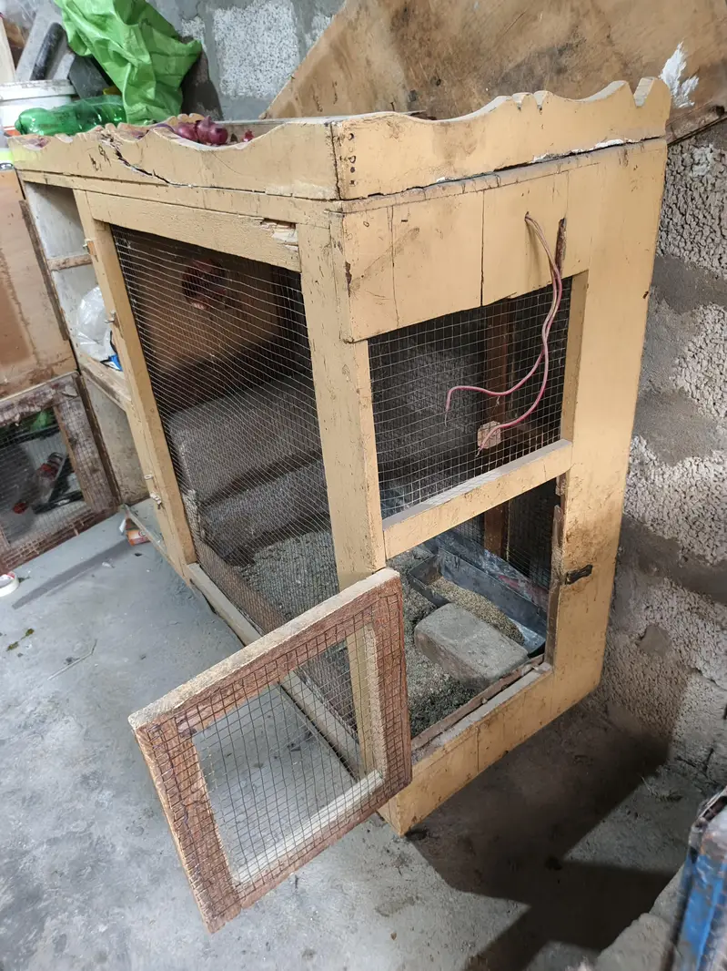 Wooden Cage Colony, Wooden Cage — photo 3