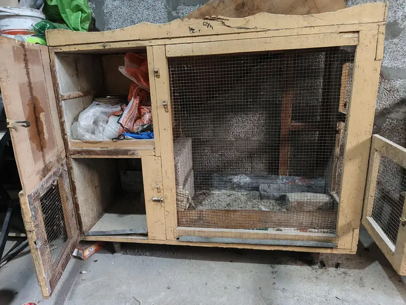 Wooden Cage Colony, Wooden Cage — photo 4