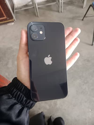 Apple iPhone 12