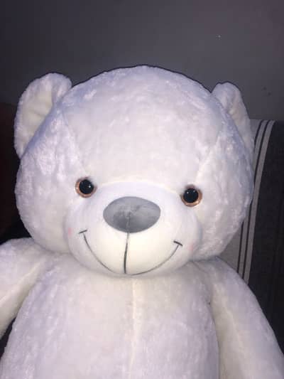 Large Beautiful TADYBEAR