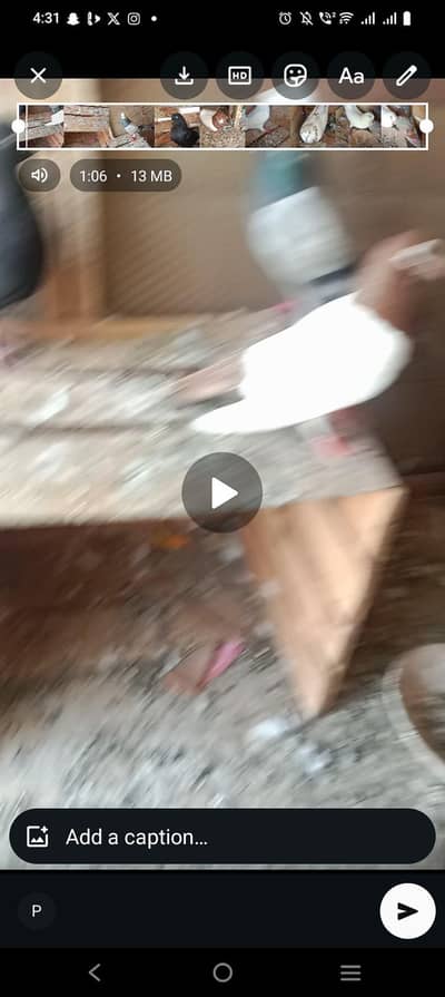 30 pigeon. hai for sale eak bhi mil gay ga or sab bhi mil gay ga