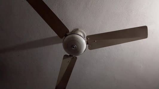 ceiling fans