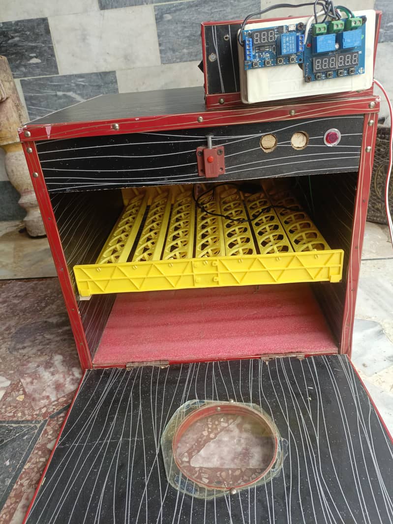 All type incubator 0