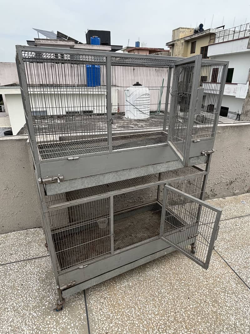 Hen Cage 1