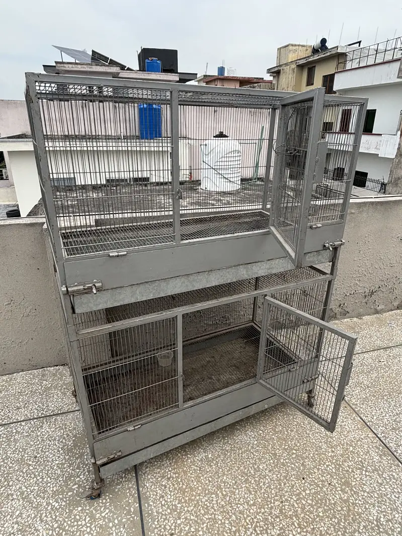 Hen Cage — photo 2