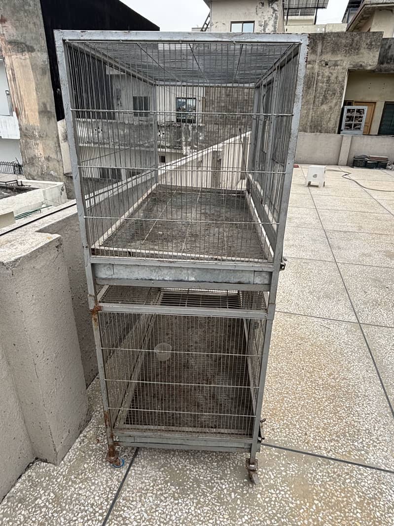 Hen Cage 2