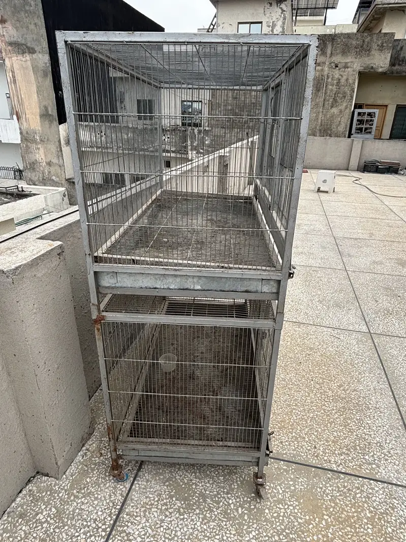 Hen Cage — photo 3