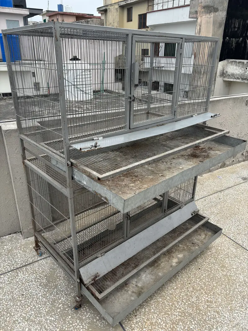 Hen Cage — photo 4