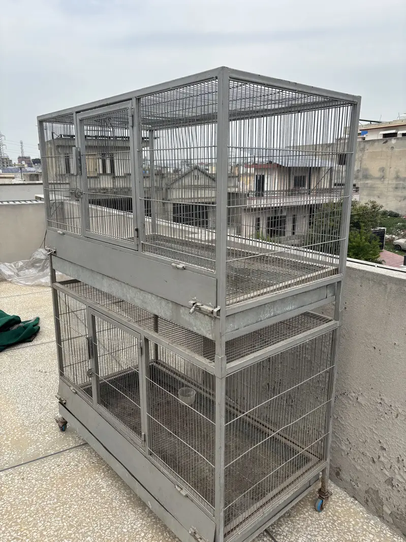 Hen Cage — photo 5