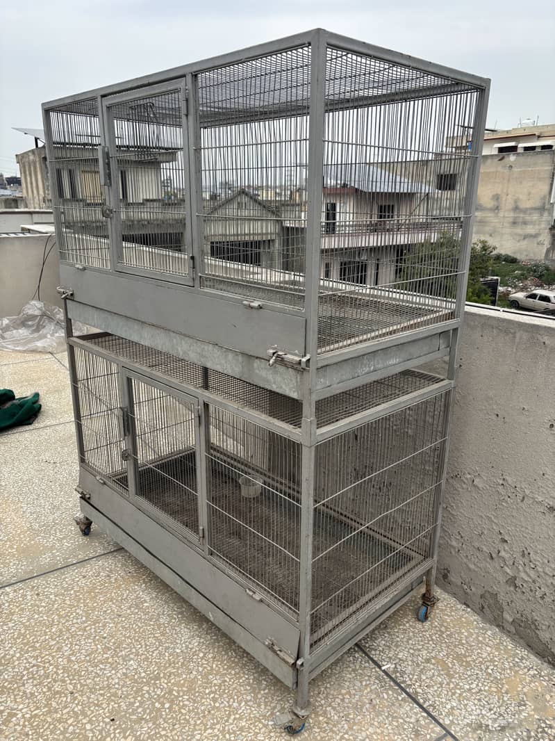 Hen Cage 5