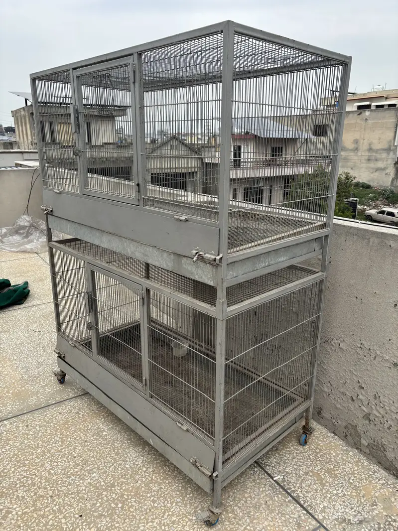 Hen Cage — photo 6