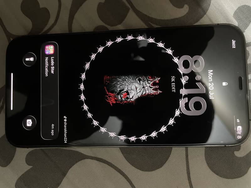 Apple iPhone 12 Pro Max 4