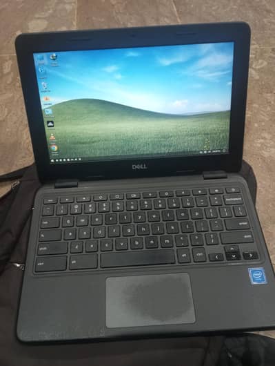Chromebook 3100