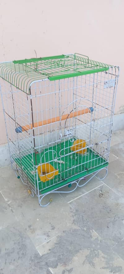Parrot Cages