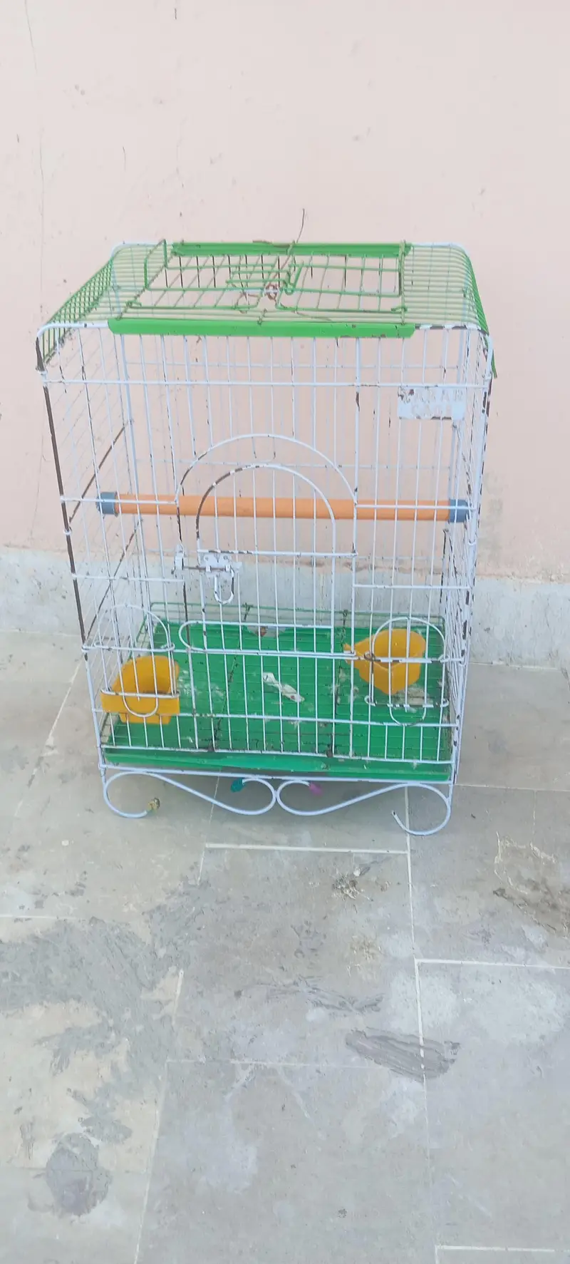 Parrot Cages — photo 2