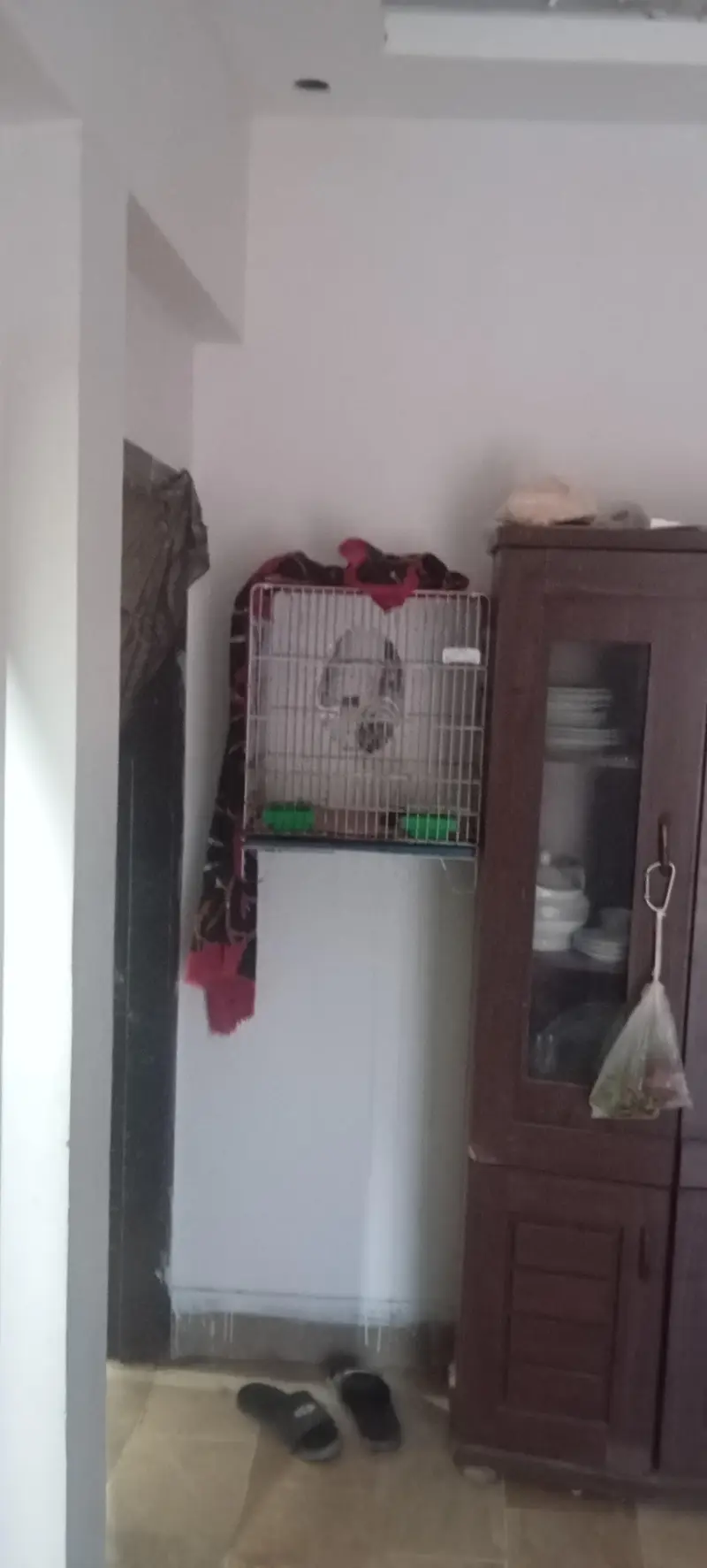 Parrot Cages — photo 4