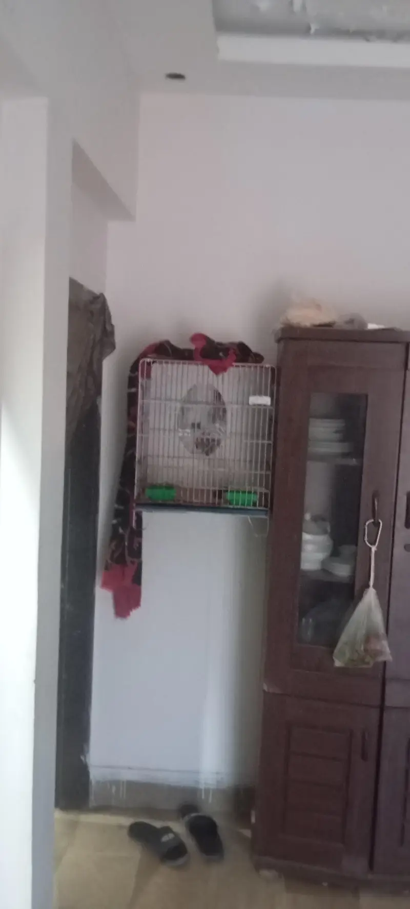 Parrot Cages — photo 5