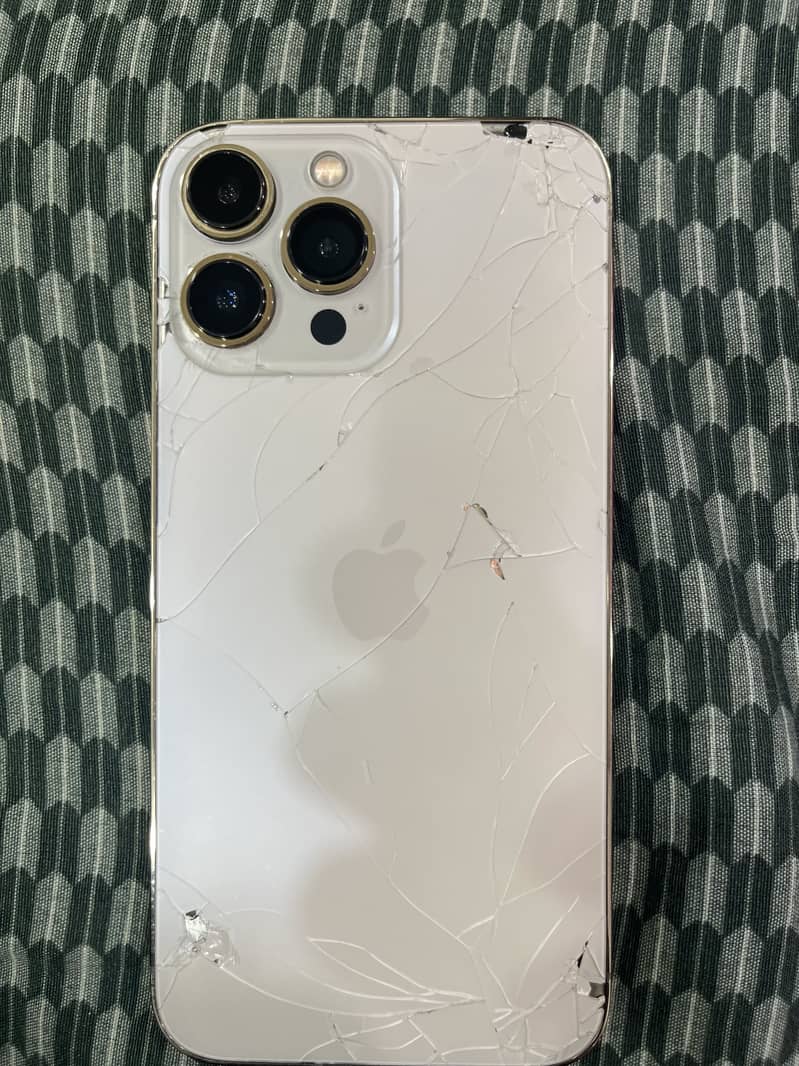 IPHONE 13 pro max 0